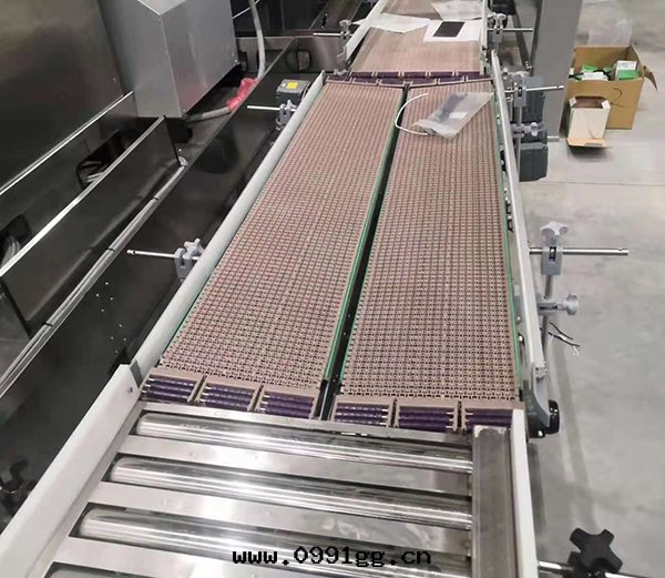 网带(dài)鍊(liàn)輸送線(xiàn)